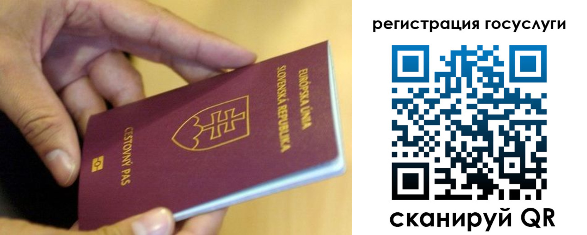 прописка в квартире в Сухом Логе